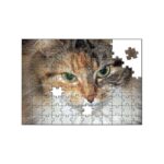 Puzzle Yapboz Baskı
